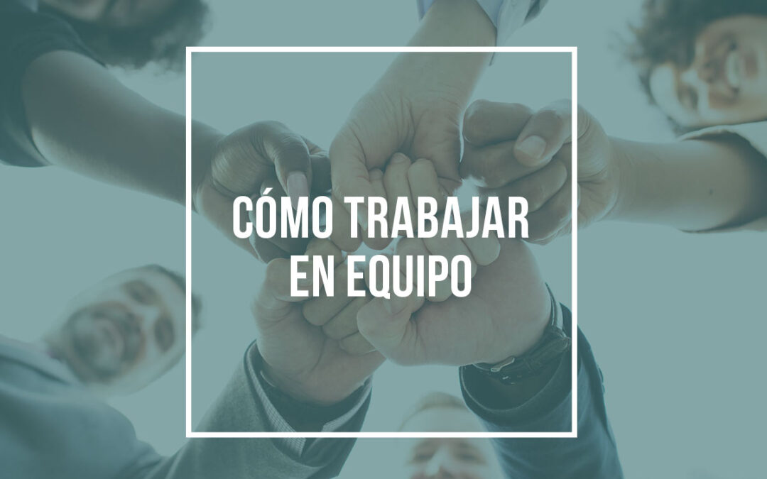 Cómo trabajar en equipo